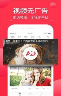 娱乐吃瓜酱奶茶视频下载,揭秘网红奶茶制作全过程