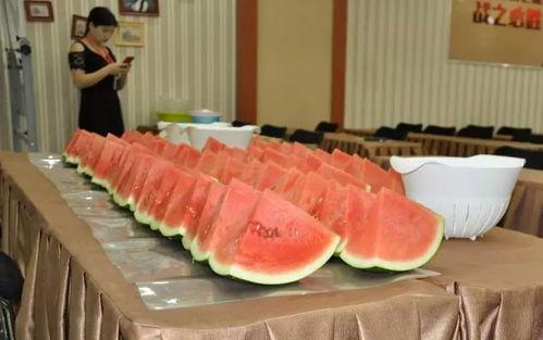 吃瓜比赛视频大全,盘点全网最热吃瓜比赛视频大全