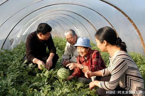 西藏扎西枫丹娱乐吃瓜,吃瓜群众眼中的神秘娱乐王国