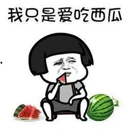 沙雕爽文吃瓜娱乐圈,吃瓜群众狂欢盛宴